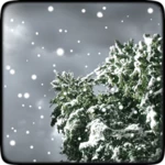 Logo of Winter Snowfall FREE android Application 